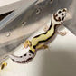 土匪豹紋守宮  Bandit Leopard Gecko（ Eublepharis macularius ）