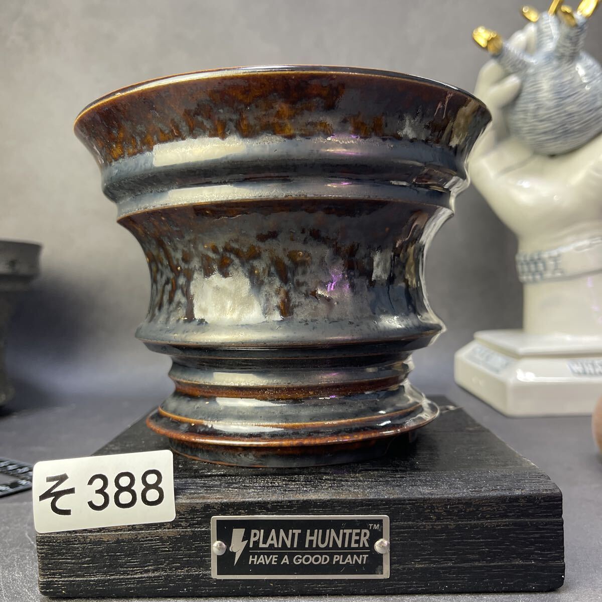 手作り 植木鉢 検索（塊根植物パキポディウム グラキリス アガベ ） 手