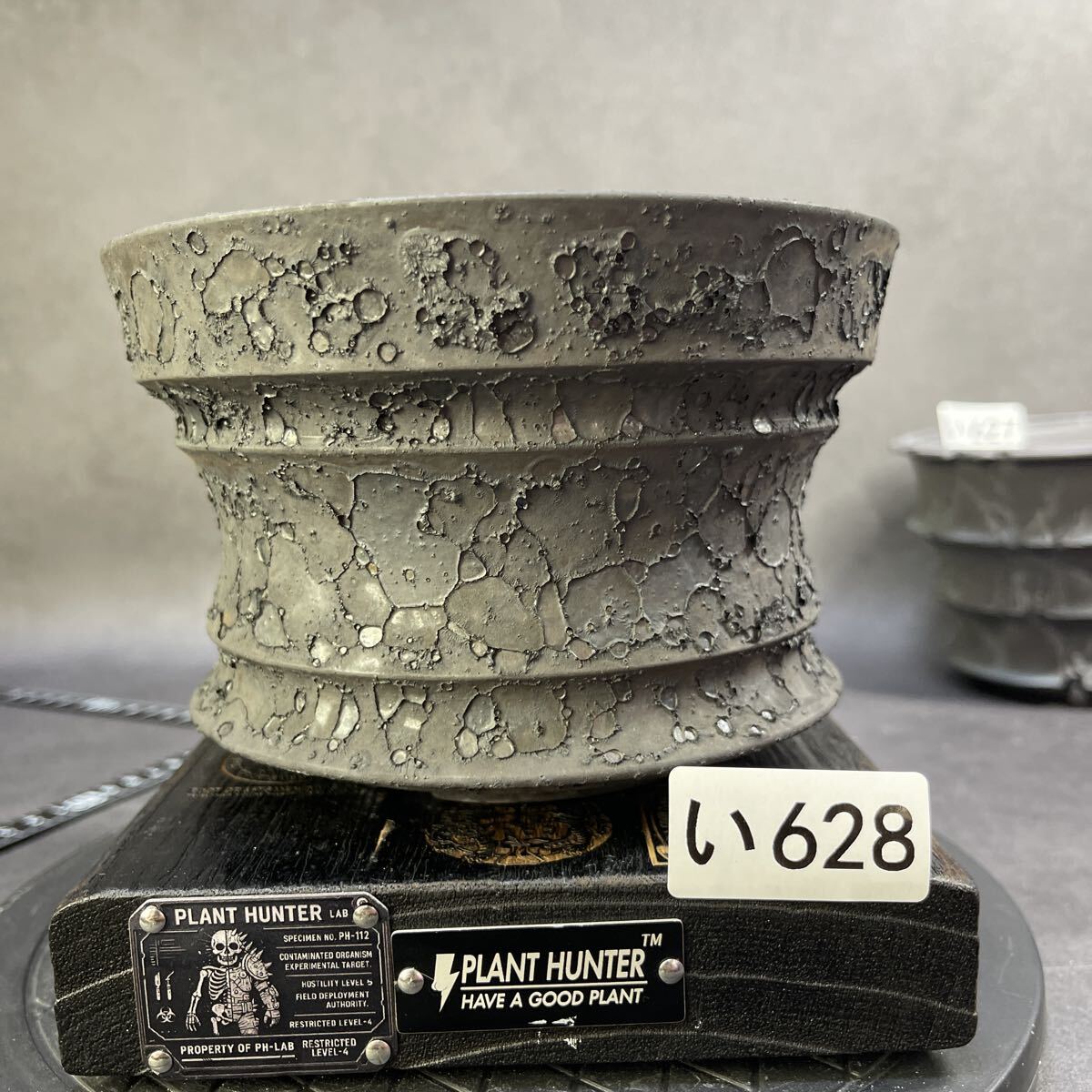 PLANT HUNTER オリジナル作品 植木鉢 陶器鉢 XL せ222 S HAND Made
