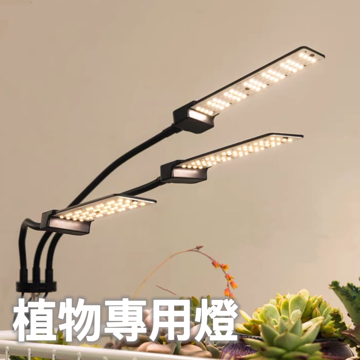 Special lamp for plants