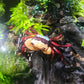 熊掌忍者蟹 （可全水養） Rainbow Ninja Crab ( Lepidothelphusa sp )