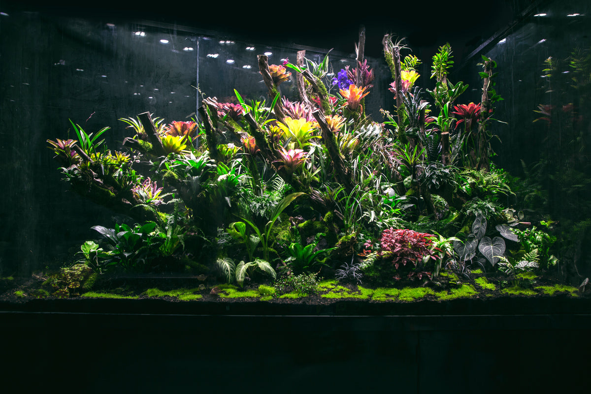 Greening project – 森流 GreenFlow - 動植物造景專門店