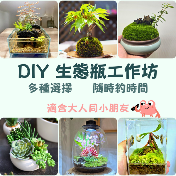 GO PARK 西沙【 DIY 生態瓶工作坊 ---- 時間你話事，輕鬆創造你的微縮森林】