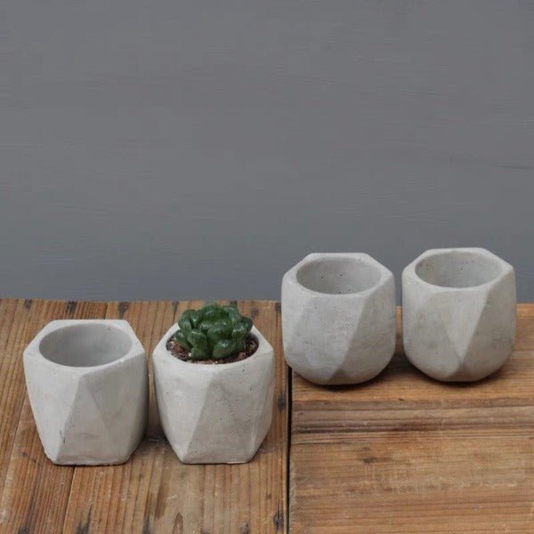 Geometry Pot 幾何形透氣水泥多肉盆 Geometry Cement Pot - 森流 GreenFlow - 動植物造景專門店