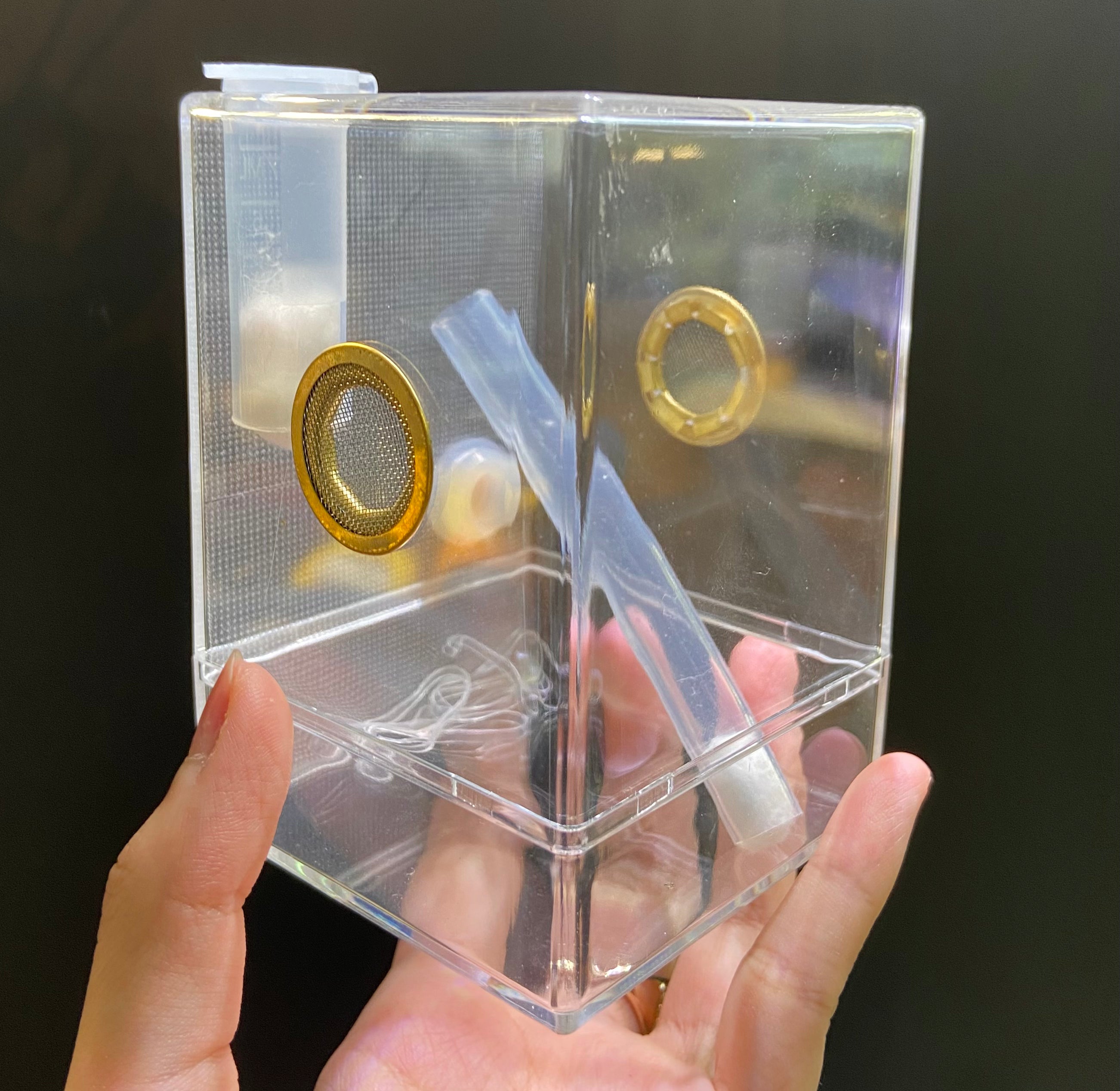 昆蟲飼養盒 跳蛛盒（不連造景） Jumping Spider / Mantis Enclosure Cage Terrarium - 森流 ...