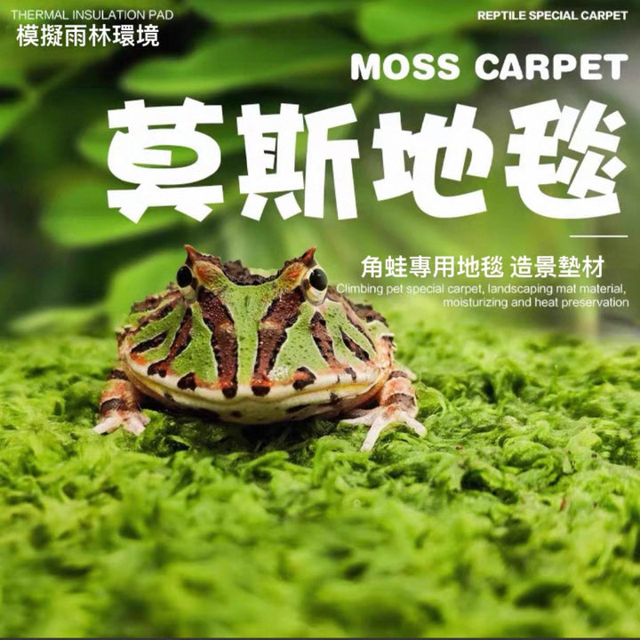 莫斯地毯（角蛙專用墊材）