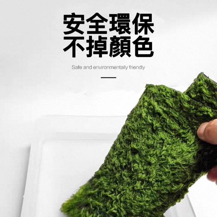 莫斯地毯（角蛙專用墊材）