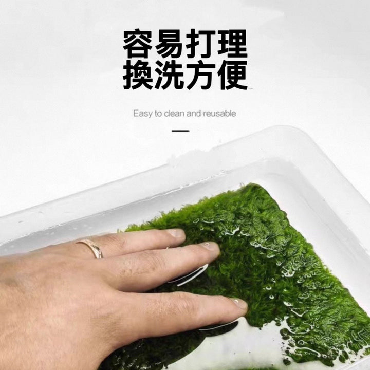 莫斯地毯（角蛙專用墊材）