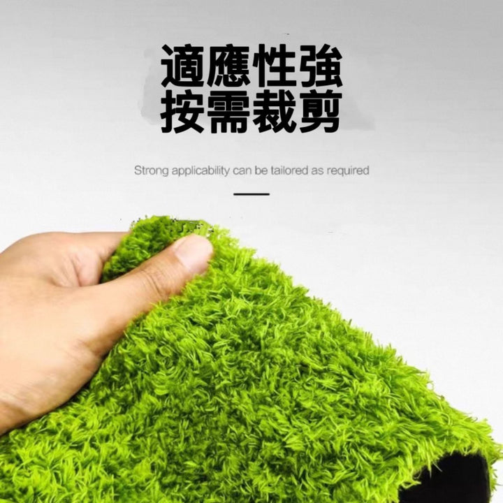 莫斯地毯（角蛙專用墊材）