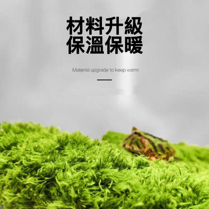 莫斯地毯（角蛙專用墊材）