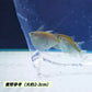 噴點燕子 / 噴點斧魚 Silver hatchetfish ( Gasteropelecus levis )