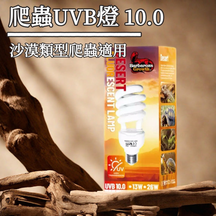 UVB燈 10.0（沙漠類爬蟲適用）