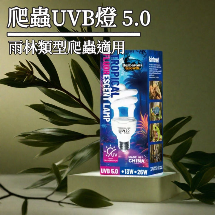 UVB燈 5.0（雨林類爬蟲適用）