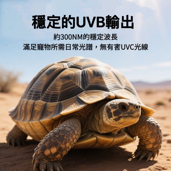 UVB燈 5.0（雨林類爬蟲適用）