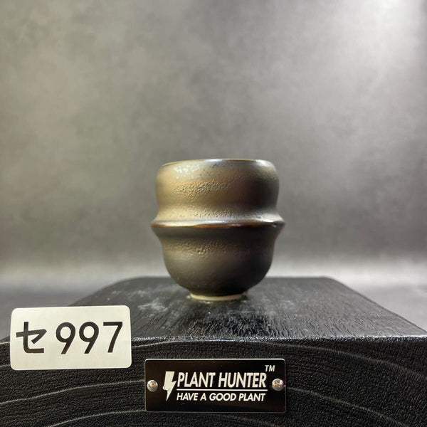 セ997 HAND Made 1号　植木鉢 陶器検（アガベ パキプス 姫巌竜 帝釈天 黒火焔 factory SRL カタチ製作所 グラキリス 塊根植物 亀甲竜 n1185470773