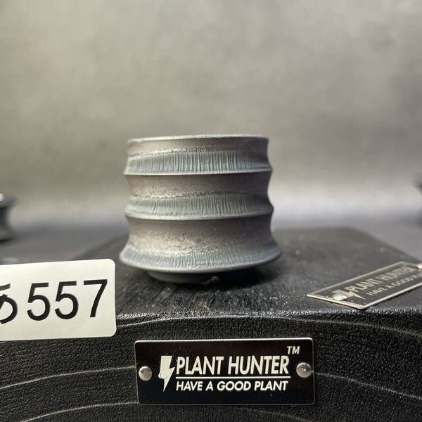 あ557 SS HAND Made 植木鉢 陶器 検（アガベパキプス 姫帝天 黒火 factory 塊根植物 カタチ製作所 invisible raw factory 1211497240
