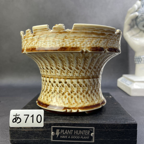 あ710 象牙焦釉 XL HAND Made 植木鉢 陶器検（アガベ パキプス 姫巌竜 帝釈天 黒火焔 factory SRL カタチ製作所 グラキリス 塊根植物 q1211904625