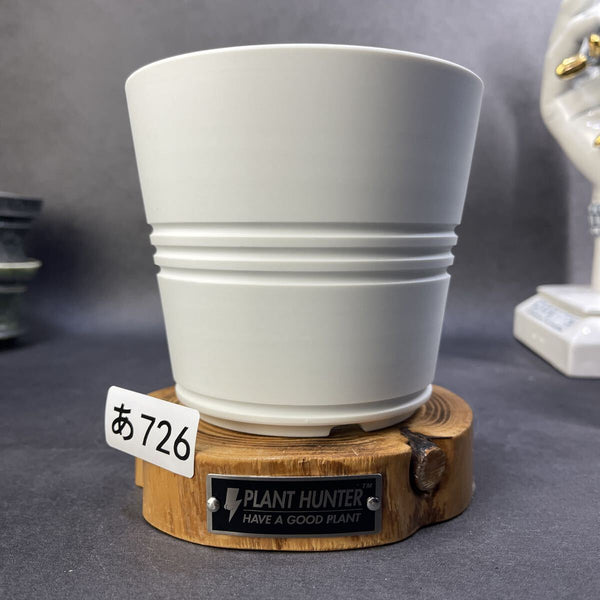 あ726 L 風痕 HAND Made 植木鉢 陶器検（アガベ パキプス 姫巌竜 帝黒火焔 factory SRL カタチ製作所 グラキリス 塊根植物 亀甲竜 r1211916086