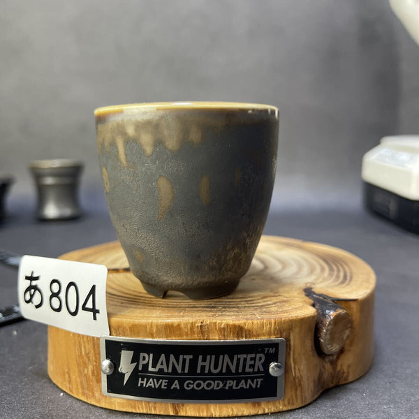 あ804 SS ミニサイズ　HAND Made 植木鉢 陶器検（アガベ パキプス 姫巌竜 帝釈天 黒火焔 factory SRL カタチ製作所 グラキリス 1212031715