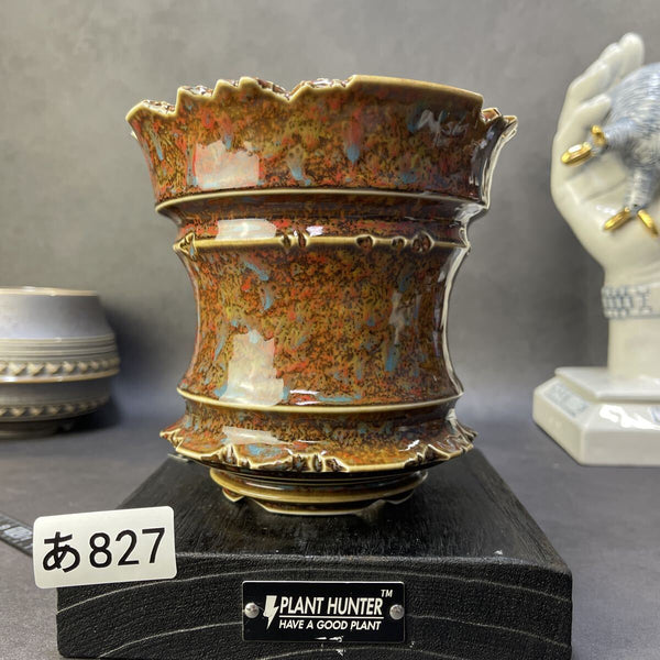 あ827 火成彩殻 XL HAND Made 植木鉢 陶器検（アガベ パキプス 姫巌竜 帝釈天 黒火焔 factory SRL カタチ製作所 グラキリス 塊根植物 b1212060872