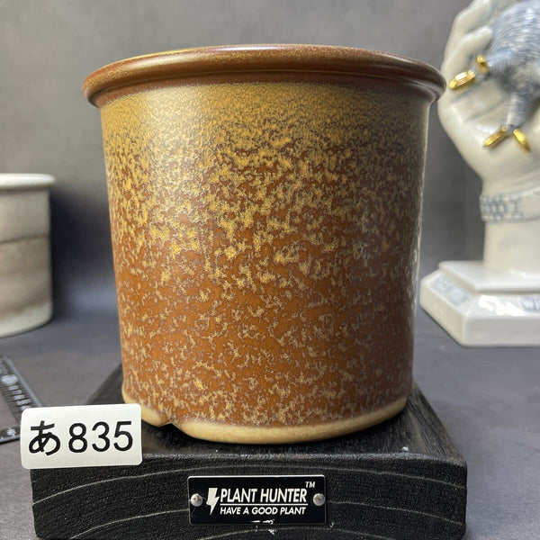 あ835 XL 星砂 Hand MADE 植木鉢 陶器 検（塊根植物 アガベ パキプス invisible ink raw life factory SRL 伝市鉢 カタチ製作所 グラキリス w1212072515