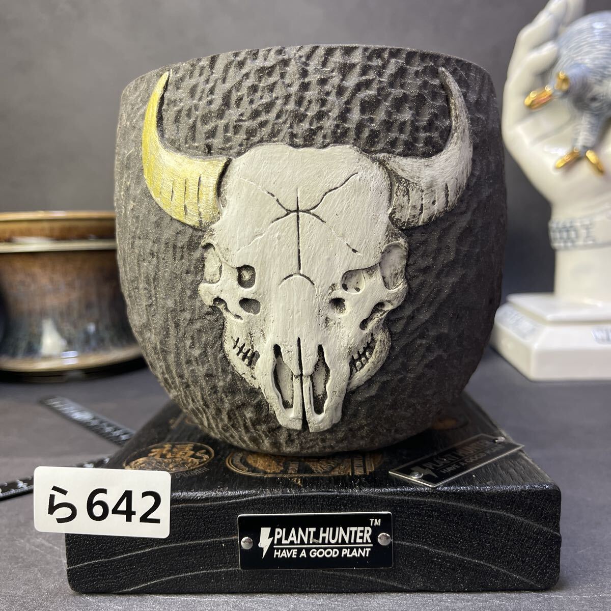 ら642 荒野鎮魂歌 XL HAND Made 植木鉢 陶器検（アガベ パキプス 姫巌