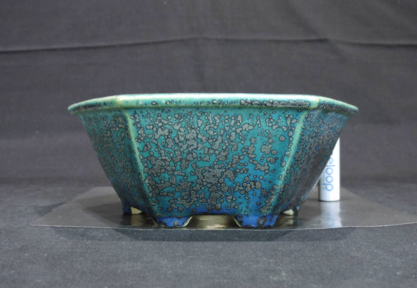 樹晃 盆栽鉢 奥行14.8cm 横幅16.7cm 高さ6.4cm c1199631109