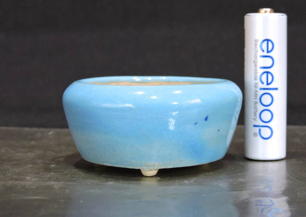 せいこ 盆栽鉢 直径5.7cm 高さ2.7cm s1199620115