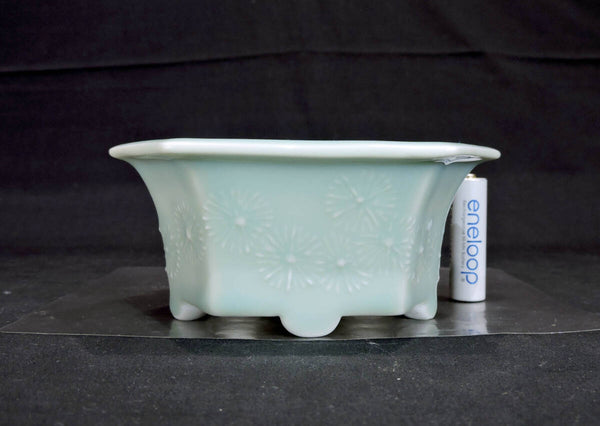 屯洋 盆栽鉢 奥行10.4cm 横幅13.6cm 高さ6cm x1199649323