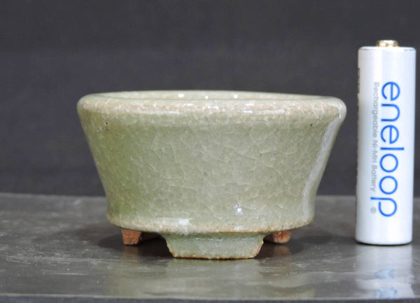 服部 盆栽鉢 直径6.5cm 高さ3.7cm u1199632255