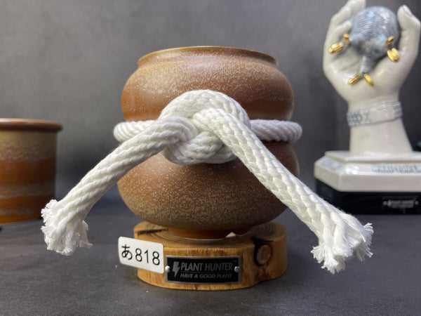 あ818 星砂 HAND Made XL号　魔界牙 植木鉢 陶器検（アガベ パキプス 姫巌竜 帝釈天 黒火焔 factory SRL カタチ製作所 グラキリス n1212038079