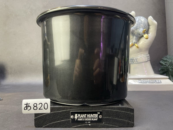 あ820 HAND Made XXL号　魔界牙 植木鉢 陶器検（アガベ パキプス 姫巌竜 帝釈天 黒火焔 factory SRL カタチ製作所 グラキリス m1212034948