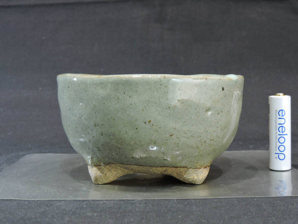 ゆうき祥石 盆栽鉢 直径12cm 高さ6.5cm h1208546244