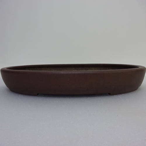 盆栽鉢 松泉焼山秋造 常滑 楕円鉢 v1198440862