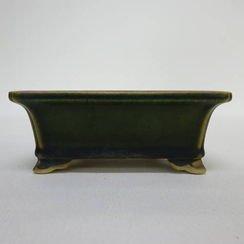 盆栽鉢 寿悦 長方鉢 r1198404682