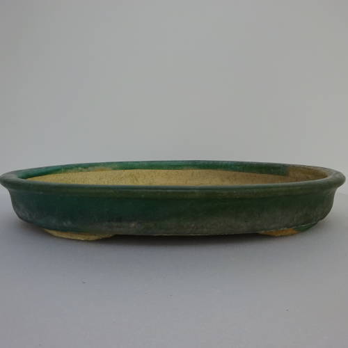 盆栽鉢 中国 楕円形 t1198413308