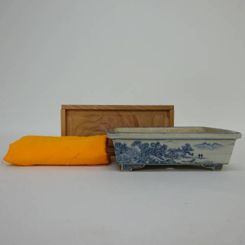 盆栽鉢 越前芳水 箱布付き 長方鉢 k1198411673