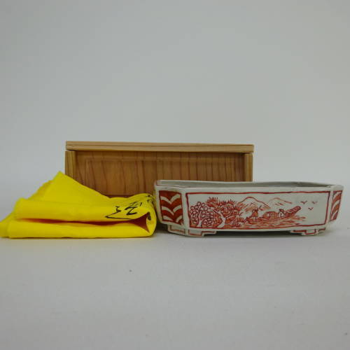 盆栽鉢 越前芳水 箱布付き g1198418084