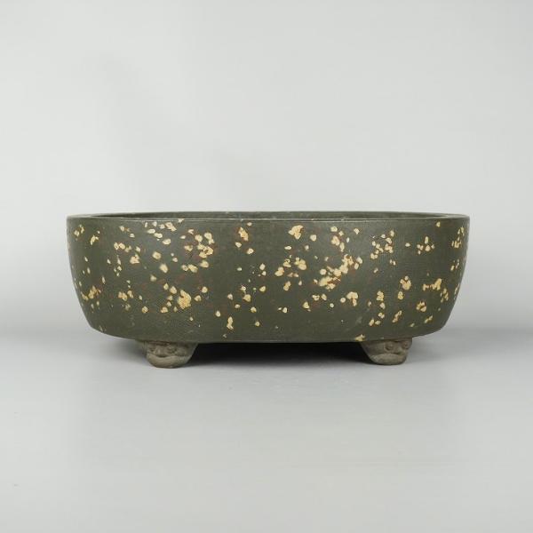 中古盆栽鉢 十王堂 松泉造 中型 長辺 約 32.5cm 長方鉢 梨皮  中古鉢 q1198412284