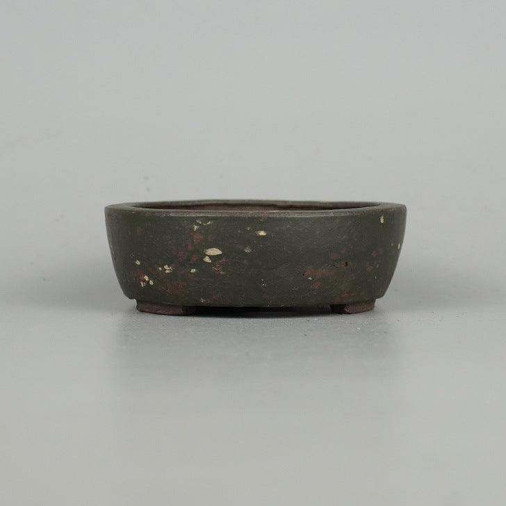 盆栽鉢 十王堂 松泉 小型 長辺 約 14cm 丸鉢 鋲打 泥物 盆栽鉢 十王堂 松泉 小型 長辺 約 14cm 丸鉢 鋲打 泥物