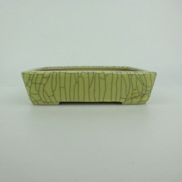 中古盆栽鉢 青香 小型 長辺 約 12.2cm 長方鉢 貫入 釉薬  中古鉢 q1173916764