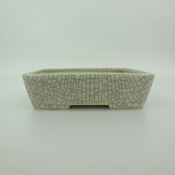 盆栽鉢 青香 小型 長辺 約14.8cm 長方鉢 貫入 釉薬 n1176314151