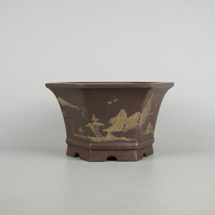 豊富な，SALE 【ビャクシン】盆栽鉢 山秋 盆栽道具 盆栽鉢 盆景 盆器 盆栽