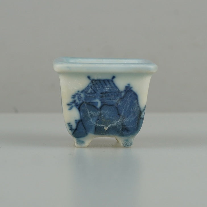 Newest Products - 森流 GreenFlow - 動植物造景專門店 – Page15