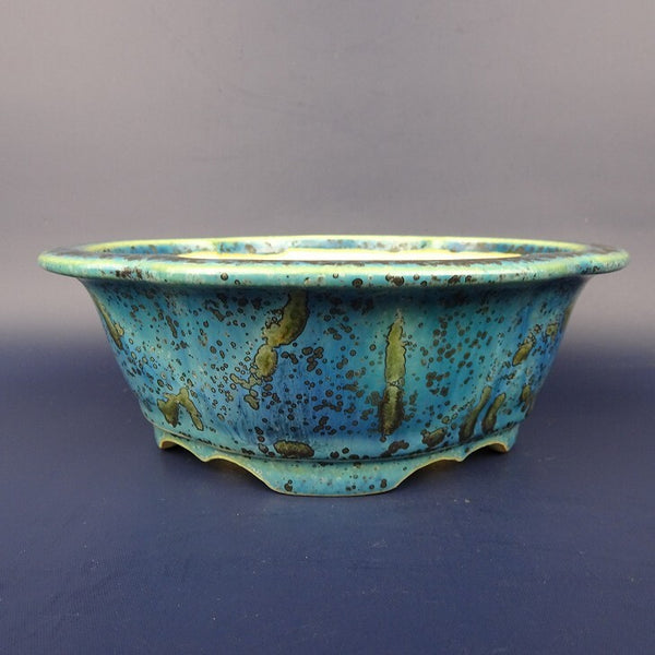 盆栽鉢 常滑 樹晃 鴻陽陶園 小型 長辺 約16.4cm 木瓜鉢 外縁 釉薬  新品 1198403779