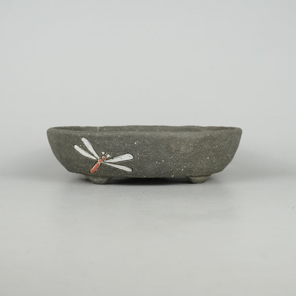 盆栽鉢 文山 越前文山 小型 長辺 約19.8cm 丸鉢 色絵 蜻蛉 トンボ 観賞用  新品 e1198416108