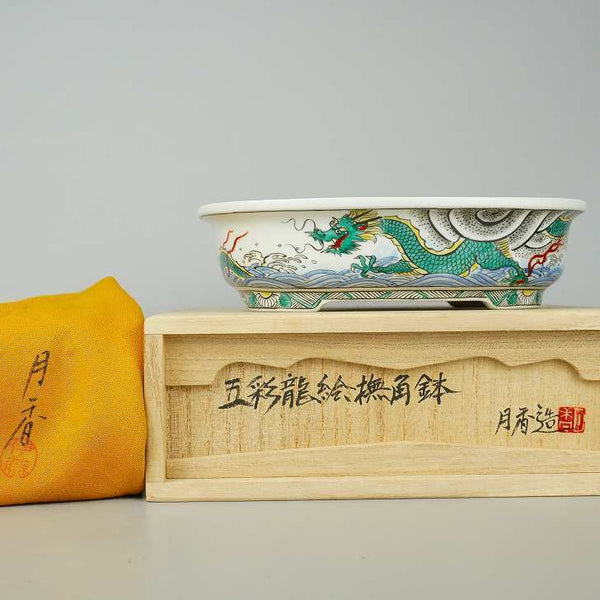 月香 共布 共箱 五彩 龍絵 撫角 長方鉢 観賞用 盆栽鉢  新品 s1198414366