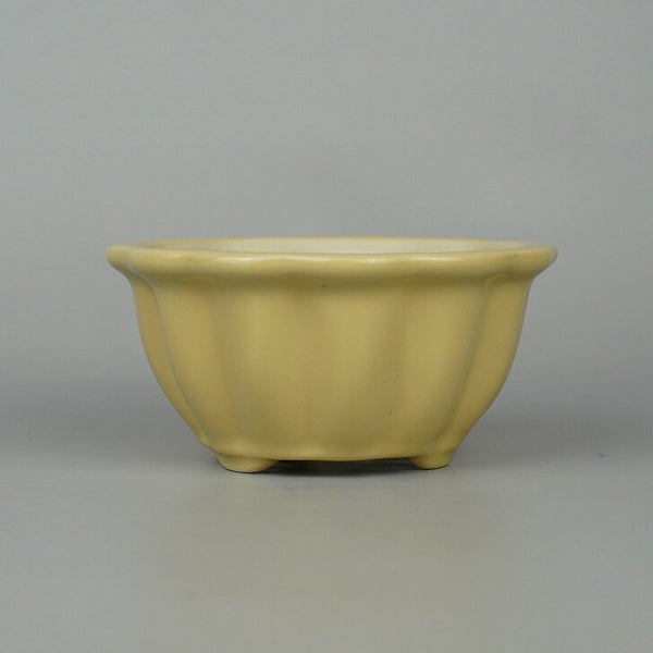 近盆撰 外縁 輪花鉢 釉薬 白釉 盆栽鉢 新品 s1198415018