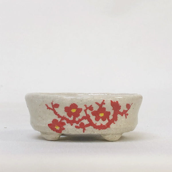 盆栽鉢 文山 越前文山 小鉢 長辺 約 6.8cm 楕円鉢 赤絵 竹 花 観賞用  新品 s1198416961