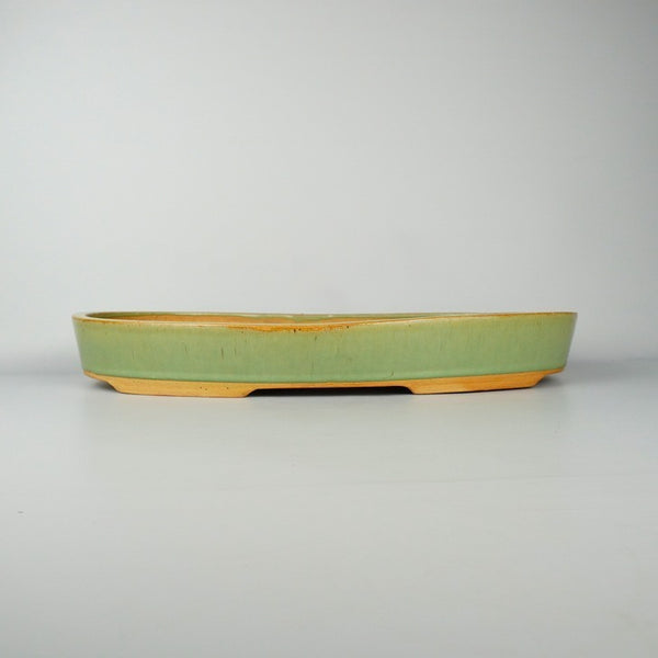 青交趾 大型 切立 楕円鉢 盆栽鉢  中古鉢 f1198415453